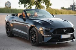 Ford Mustang Cabrio mieten Bötzingen (5 Std.)