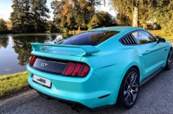 Ford Mustang fahren (4 Std.)