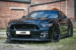 Ford Mustang fahren (4 Std.)