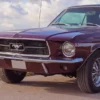 Ford Mustang Oldtimer fahren (2 Std.) Wees