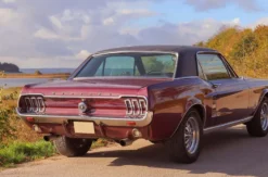 Ford Mustang Oldtimer fahren (2 Std.) Wees