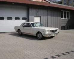 Ford Mustang Oldtimer fahren Meißenheim (2 Std.)