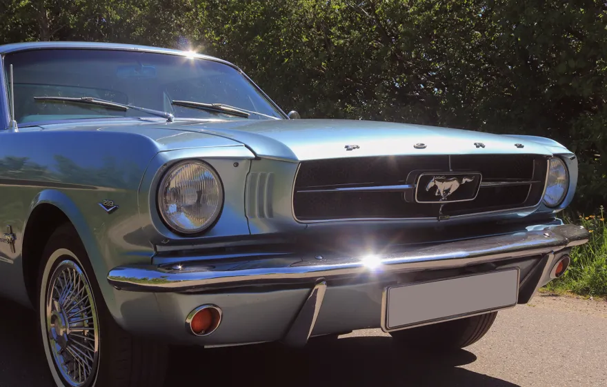 Ford Mustang Oldtimer fahren Wees (4 Std. )