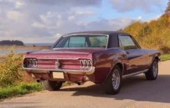 Ford Mustang Oldtimer fahren Wees (4 Std. )