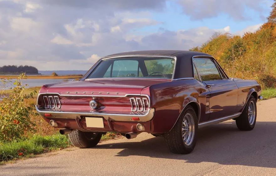 Ford Mustang Oldtimer fahren Wees (4 Std. )