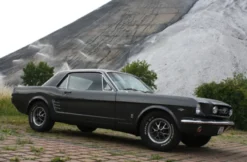 Ford Mustang Oldtimer fahren (2 Std.)