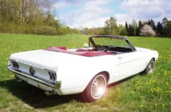 Ford Mustang Oldtimer mieten Thale