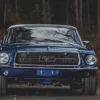 Ford Mustang Oldtimer mieten (1 Tag)