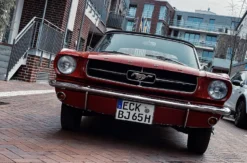 Ford Mustang Oldtimer (4 Std.)