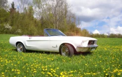 Ford Mustang Oldtimer Tagestour Jena