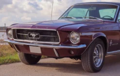 Ford Mustang Oldtimer Tagestour Wees