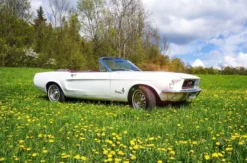 Ford Mustang Oldtimer Tagestour