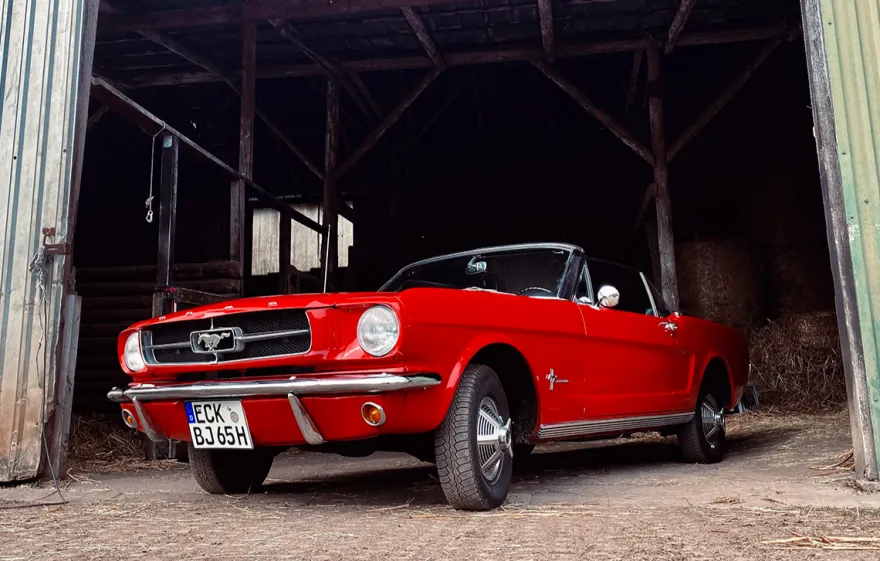 Ford Mustang Oldtimer Wickede (4 Std.)