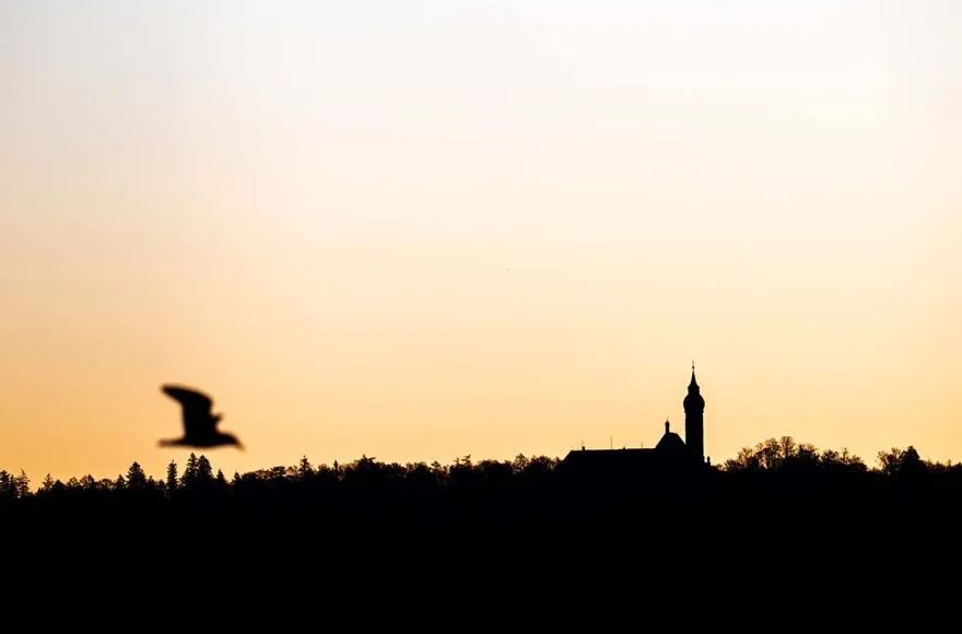 Fotografie Kurs Ammersee (Vögel und Natur)