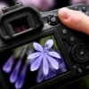 Fotokurs Berlin (Einzelcoaching)