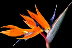 Fotokurs Berlin (Einzelcoaching)