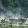 Fotokurs Dülmen