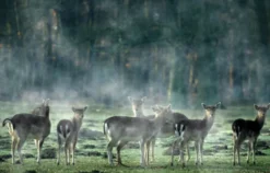 Fotokurs Dülmen
