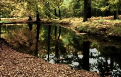 Fotokurs Dülmen
