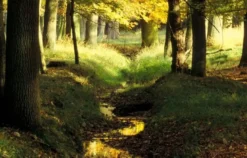 Fotokurs Dülmen
