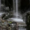 Fotokurs "Erlebnis-Zoo" Hannover