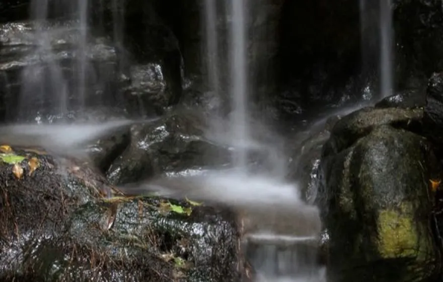 Fotokurs "Erlebnis-Zoo" Hannover