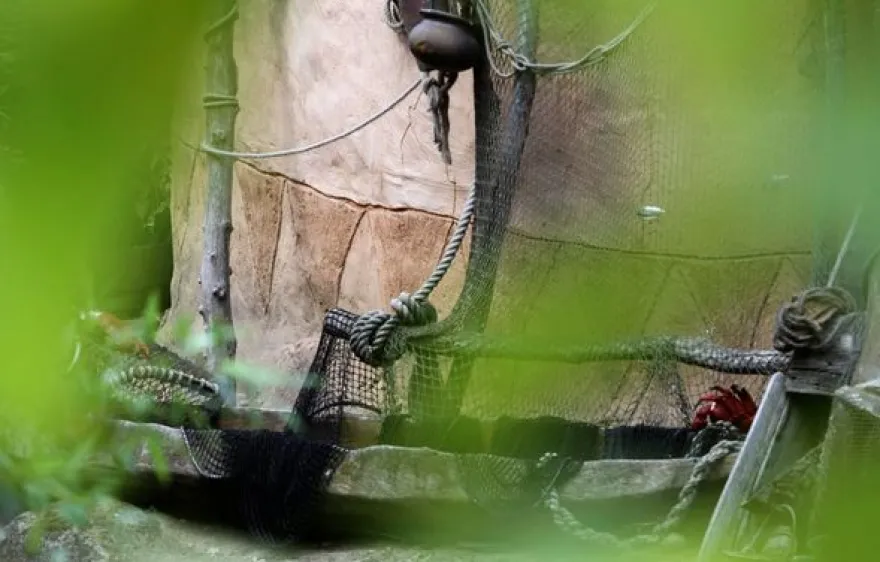 Fotokurs "Erlebnis-Zoo" Hannover