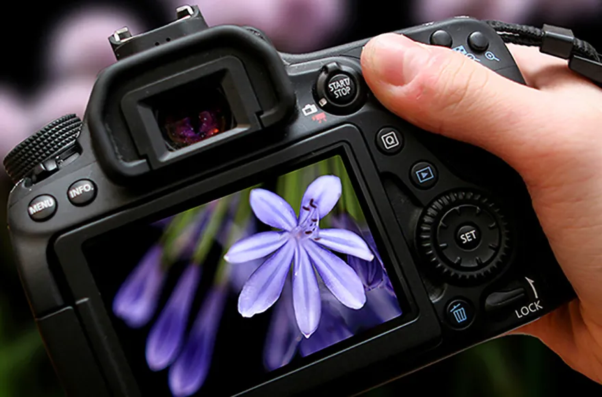 Fotokurs Hamburg (Einzelcoaching)