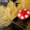 Fotokurs Köln (Einzelcoaching)