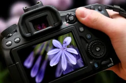 Fotokurs Köln (Einzelcoaching)