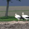 Fotokurs Olfen mit Fahrradtour