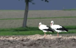 Fotokurs Olfen mit Fahrradtour