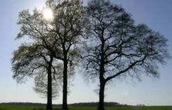Fotokurs Olfen mit Fahrradtour