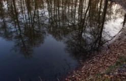 Fotokurs Raesfeld