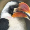 Fotokurs "Tierpark" Hamburg