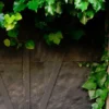 Fotokurs Wetzlar (Lahninsel)