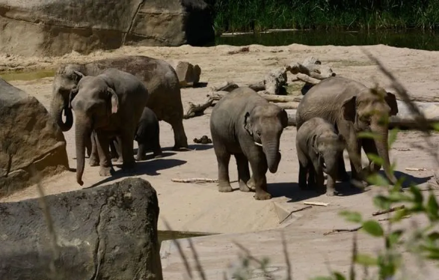 Fotokurs "Zoologischer Garten" Köln