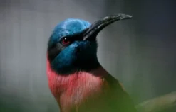 Fotokurs