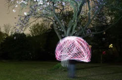 Foto-Workshop 'Licht im Dunkeln'
