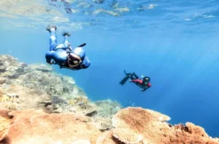 Freediving Tageskurs Steina