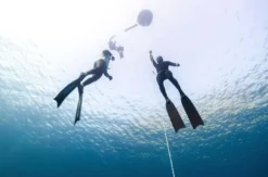 Freediving Tageskurs Steina