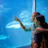 Frühstück & Sea Life München für 2