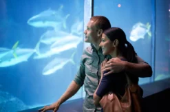Frühstück & Sea Life München für 2