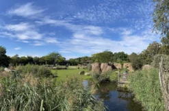 Frühstück & Zoobesuch Leipzig für 2
