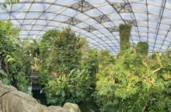 Frühstück & Zoobesuch Leipzig für 2