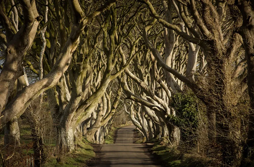 Game of Thrones Filmreise Irland (7 Nächte)