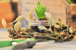 Garten Kurs Bottrop