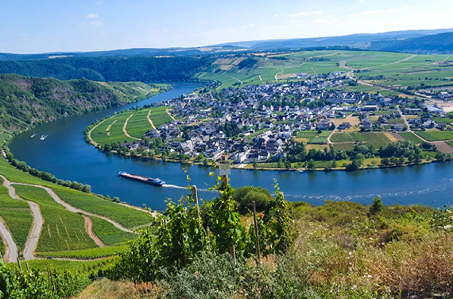 Geführte Mofa Tour in Zeltingen-Rachtig für 2