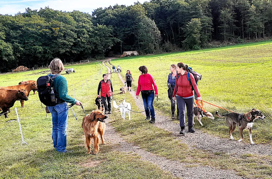 Geführte Wanderungen mit Hund