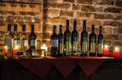 Geführte Weinprobe in Österreich für 2